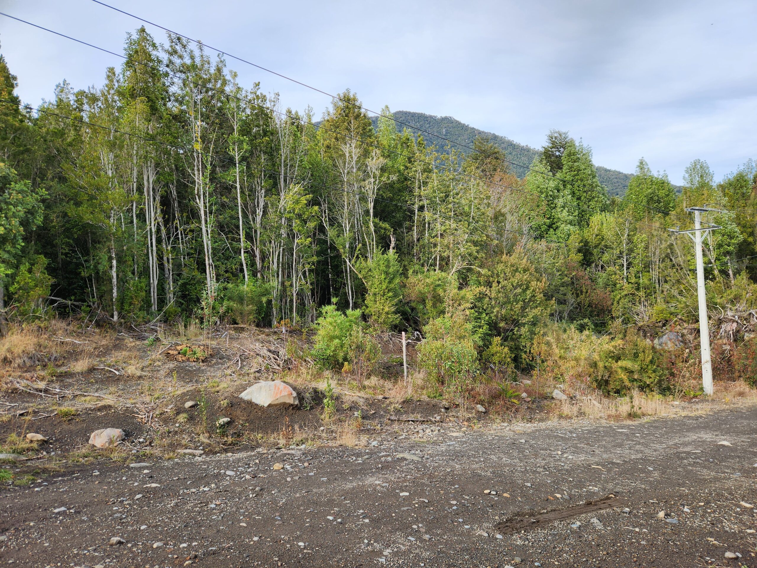 Venta-de-terreno